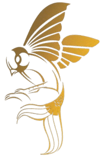 Tokkatto Logo