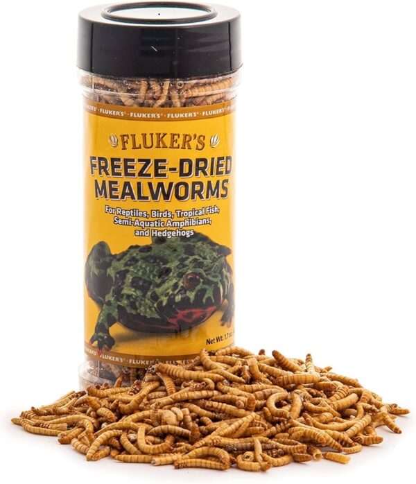Meal worm (freeze dried)